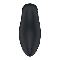 Orca